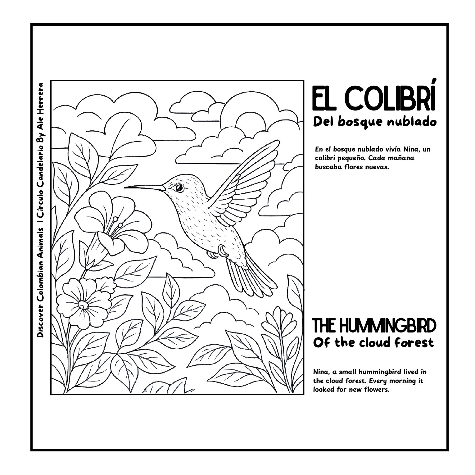 Capítulo del colibrí del bosque nublado